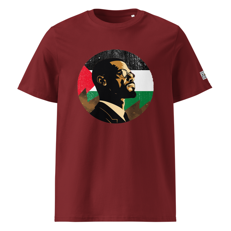 Malcolm X, In palestine moon