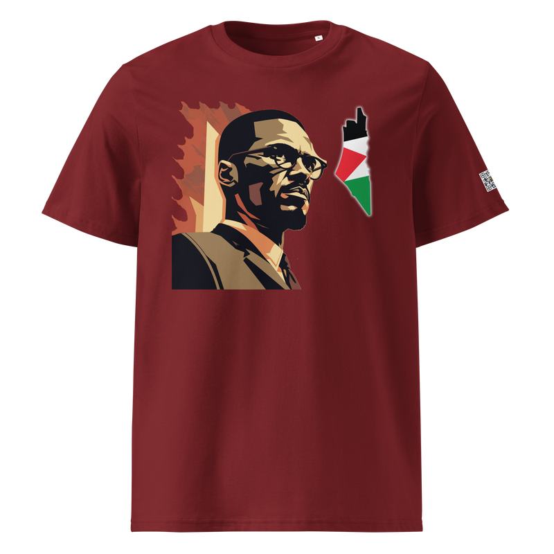 Malcolm X, On fire,  Map of Palestine