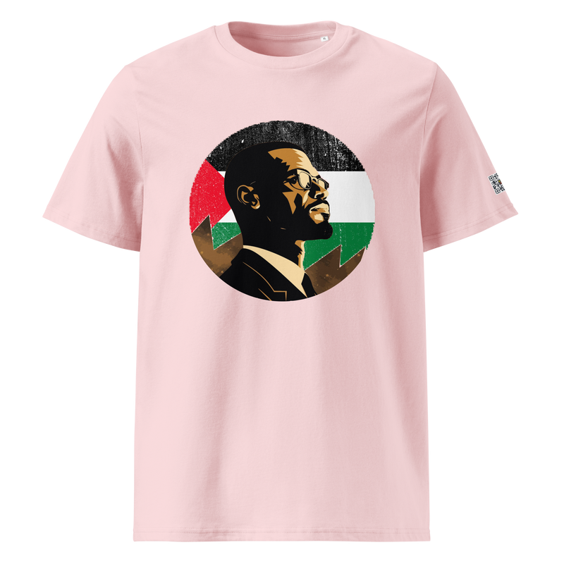 Malcolm X, In palestine moon