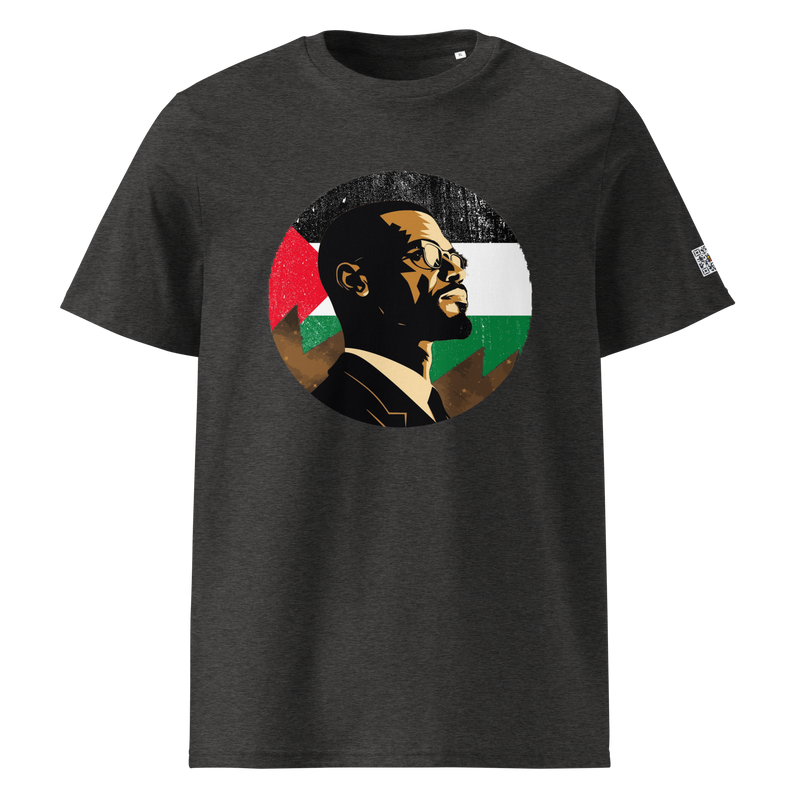 Malcolm X, In palestine moon