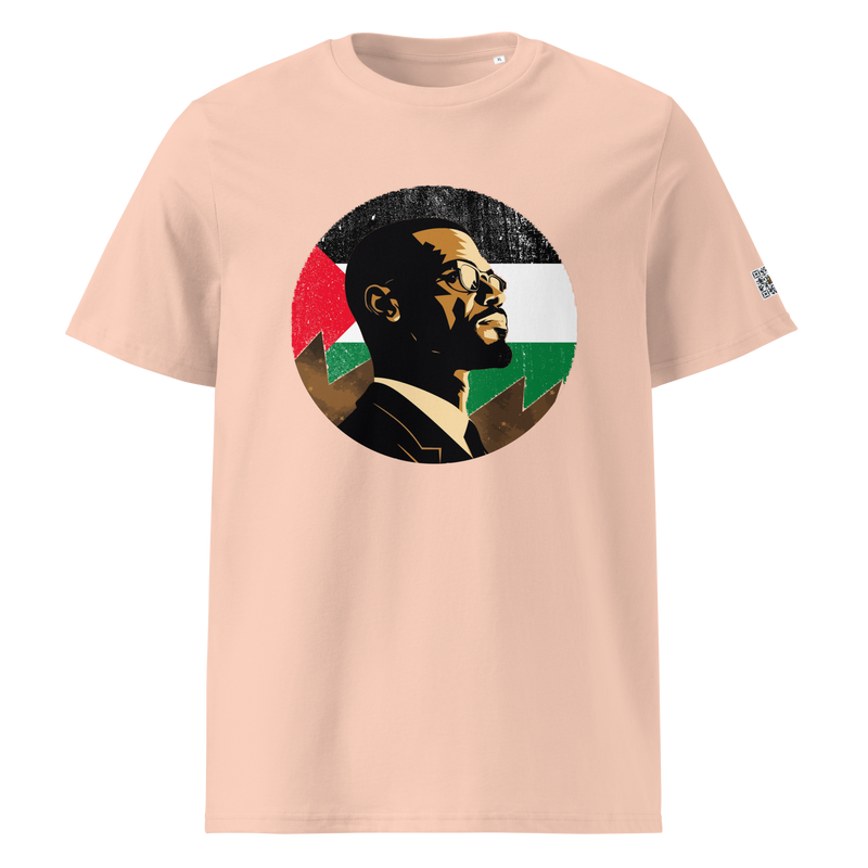 Malcolm X, In palestine moon