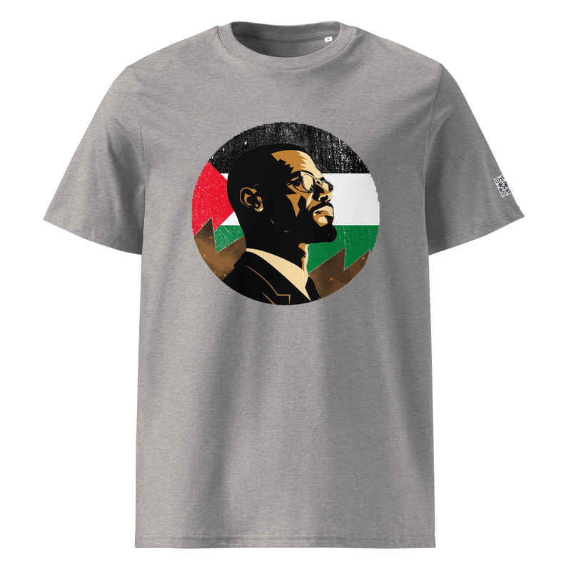 Malcolm X, In palestine moon