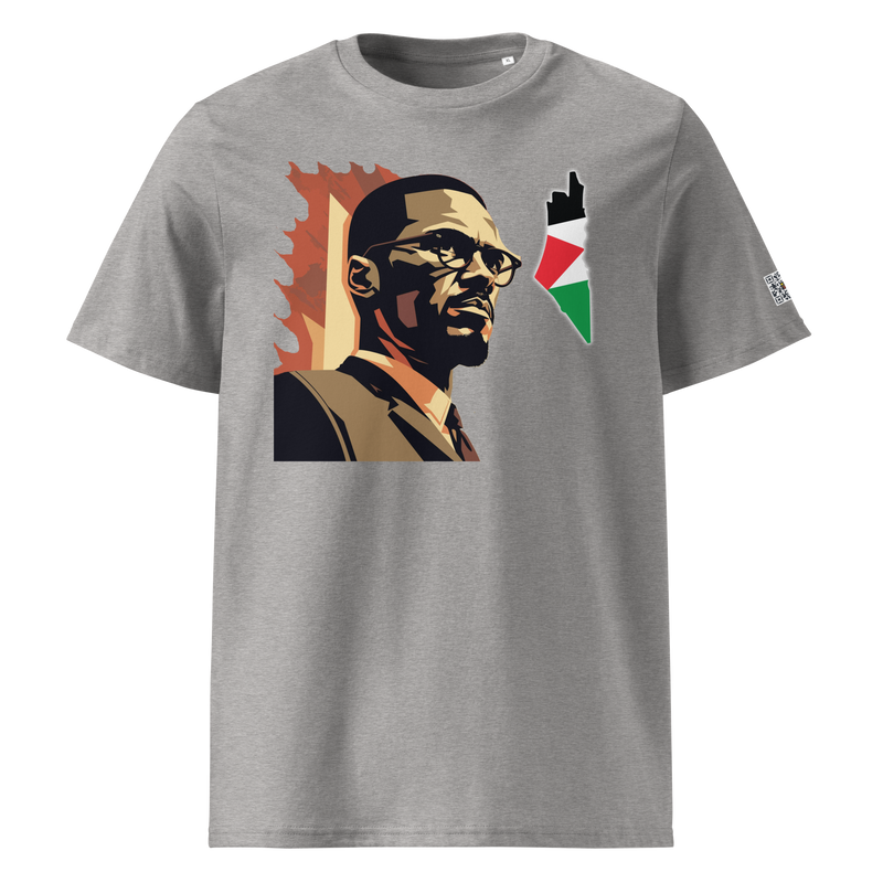 Malcolm X, On fire,  Map of Palestine