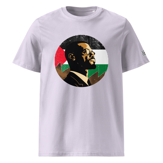 Malcolm X - In Palestine moon