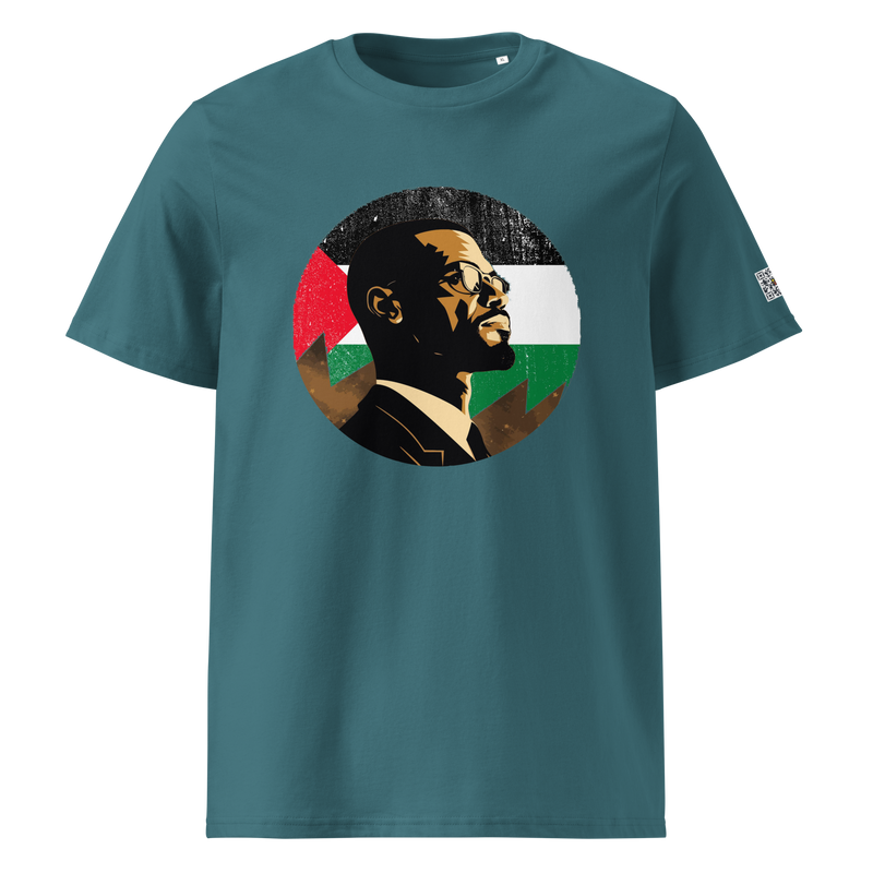 Malcolm X, In palestine moon