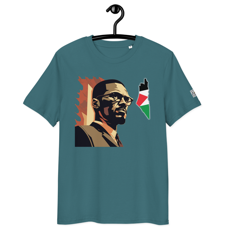 Malcolm X, On fire,  Map of Palestine