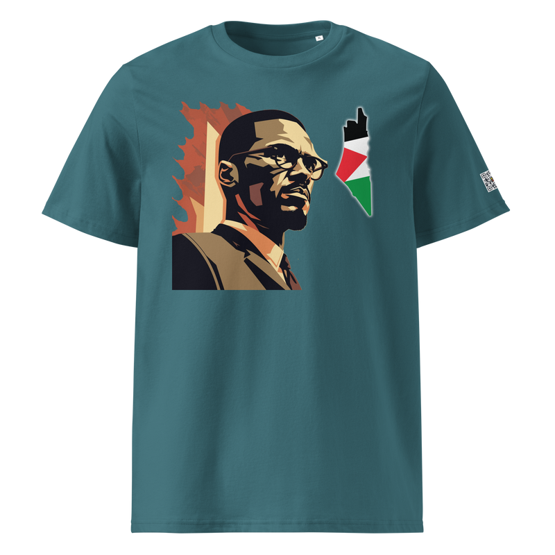 Malcolm X, On fire,  Map of Palestine